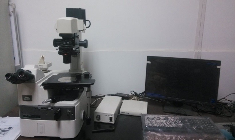 bb贝博艾弗森官网